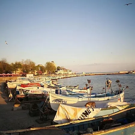 Pensión флора Pomorie