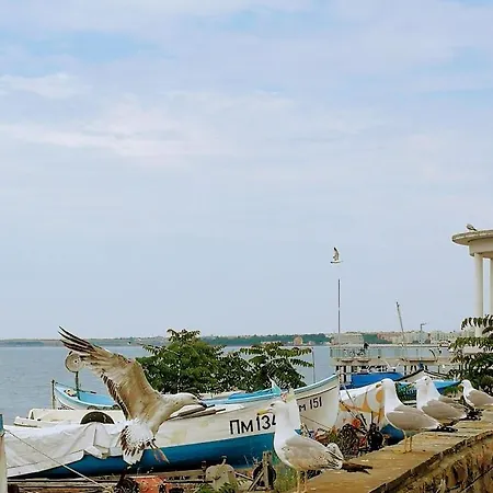 Pensión флора Pomorie