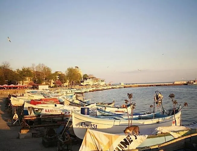 Pensjonat флора Gmina Pomorie